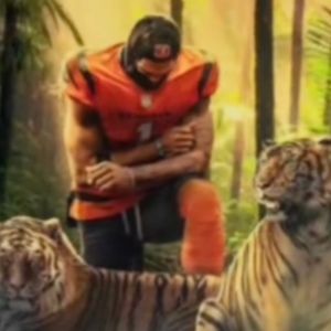 Meet your Posher, Blake